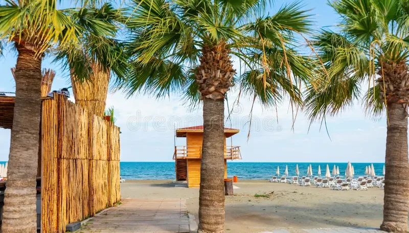 mackenzie-beach-larnaca-cyprus-mackenzie-beach-larnaca-cyprus-tropical-beach-palm-trees-324838997 mackenzie-beach-larnaca-cyprus-mackenzie-beach-larnaca-cyprus-tropical-beach-palm-trees-324838997