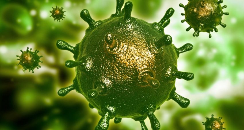 virusy-bakteriofagi-1
